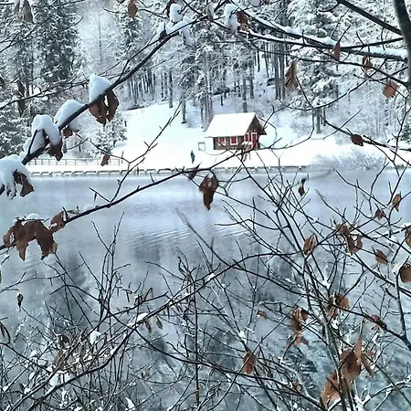 Alpine's *